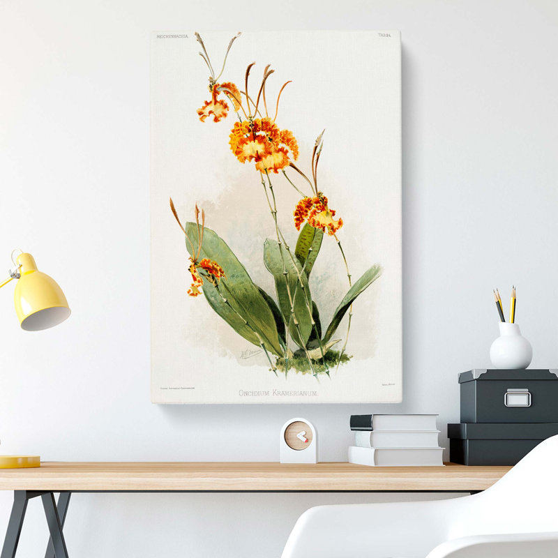 Magnolia Flowers Illustration Tab.84 by Frederick Sander - Wrapped Canvas Painting, 50cm H x 35cm W x 3cm D