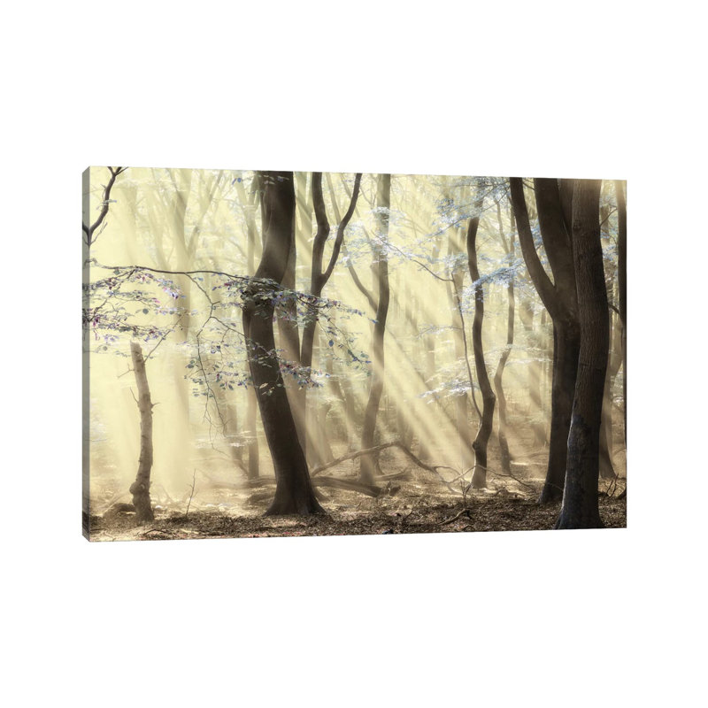 Forest Dimensions by Lars Van De Goor - Wrapped Canvas Print, 101.6 cm H x 66.04 cm W x 1.91 cm D