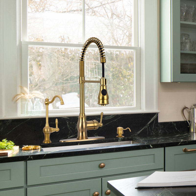 Pre-Rinse Spring Kitchen Faucet with Pull Down Sprayer and Single Handle, Brass Gold
