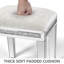 Mikayil Glass Mirrored Accent Stool Solid Wood Vanity Stool-609937802