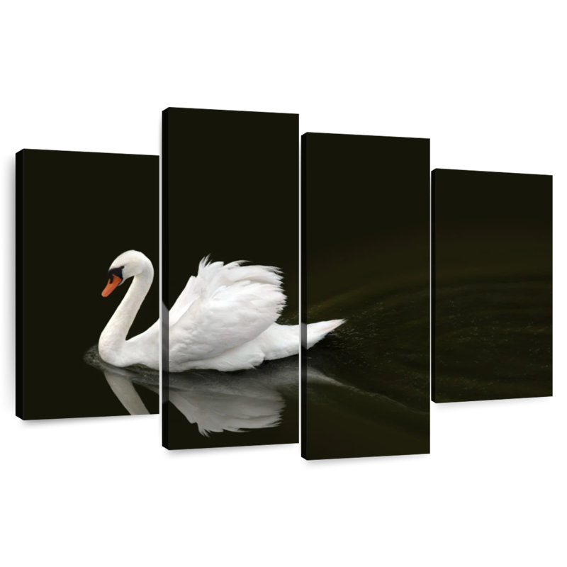 Brampt White Swan Elegance