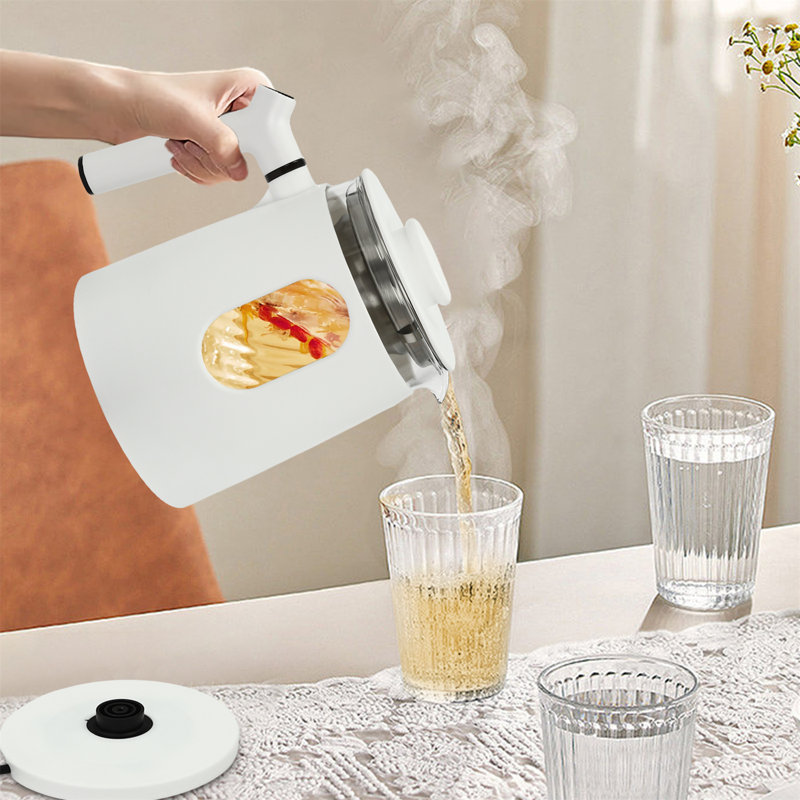 Electric Tea Kettle with Temperature Control, White
