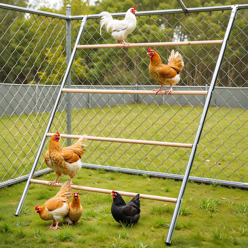 Barres de perchoir pour poulets, jeu de jeu avec perchoirs, échelle de poulet en bois, jouets pour poulets pour accessoires de poulailler