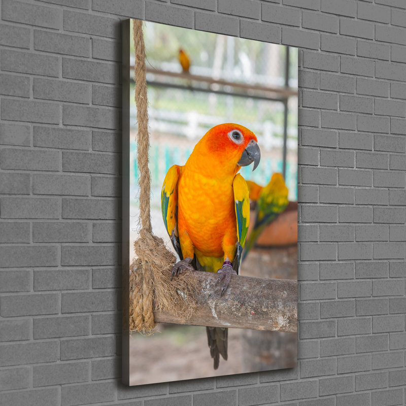 Parrot - Wrapped Canvas Print