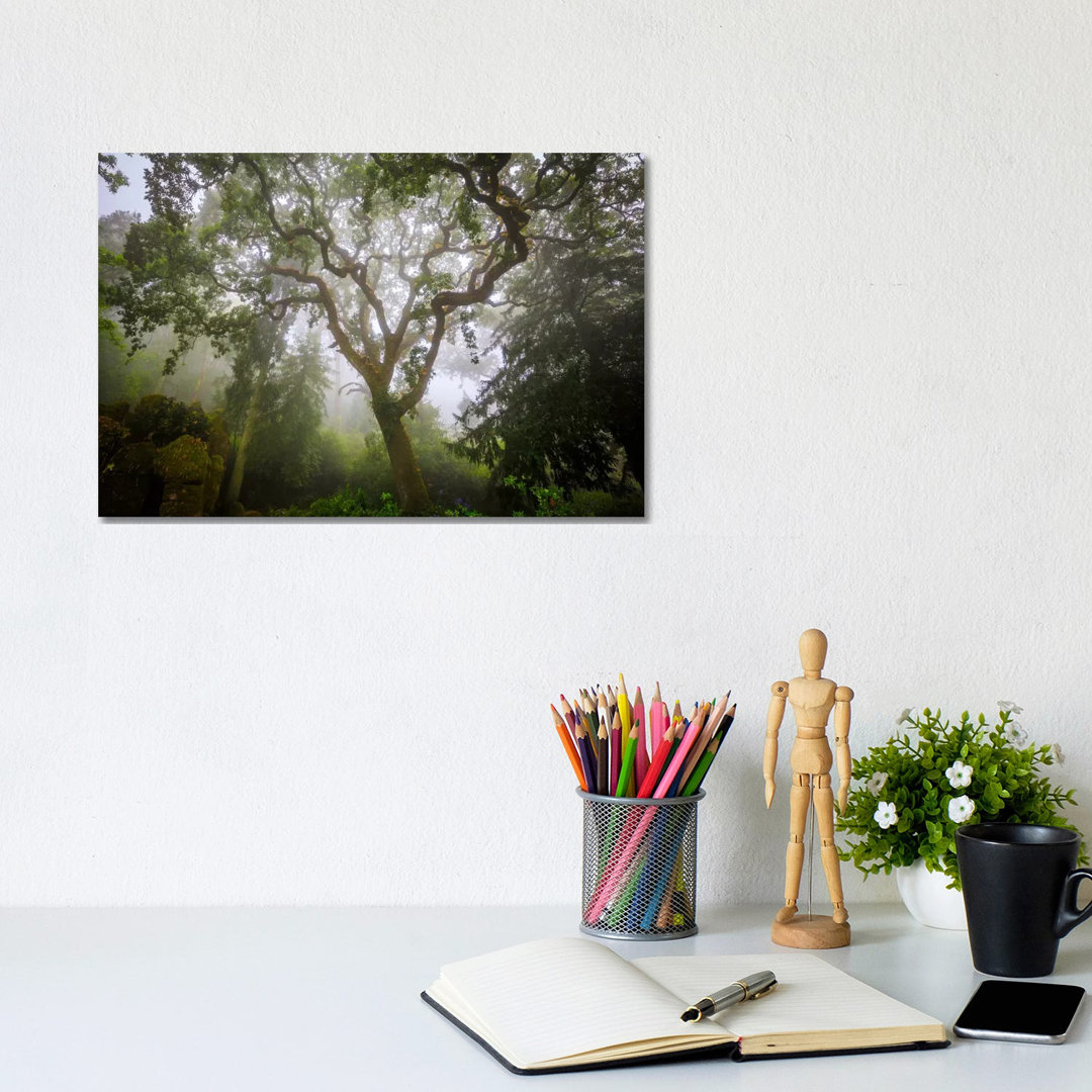 Sintra Forest, Sintra, Portugal by Jim Nilsen - Wrapped Canvas Gallery-Wrapped Canvas Giclée