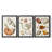 Collected Shells I  -Custom Framed  Wrapped Gallery Canvas - 3 Pieces-754479543-754479536