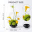 Arrangement organique moderne dans un pot