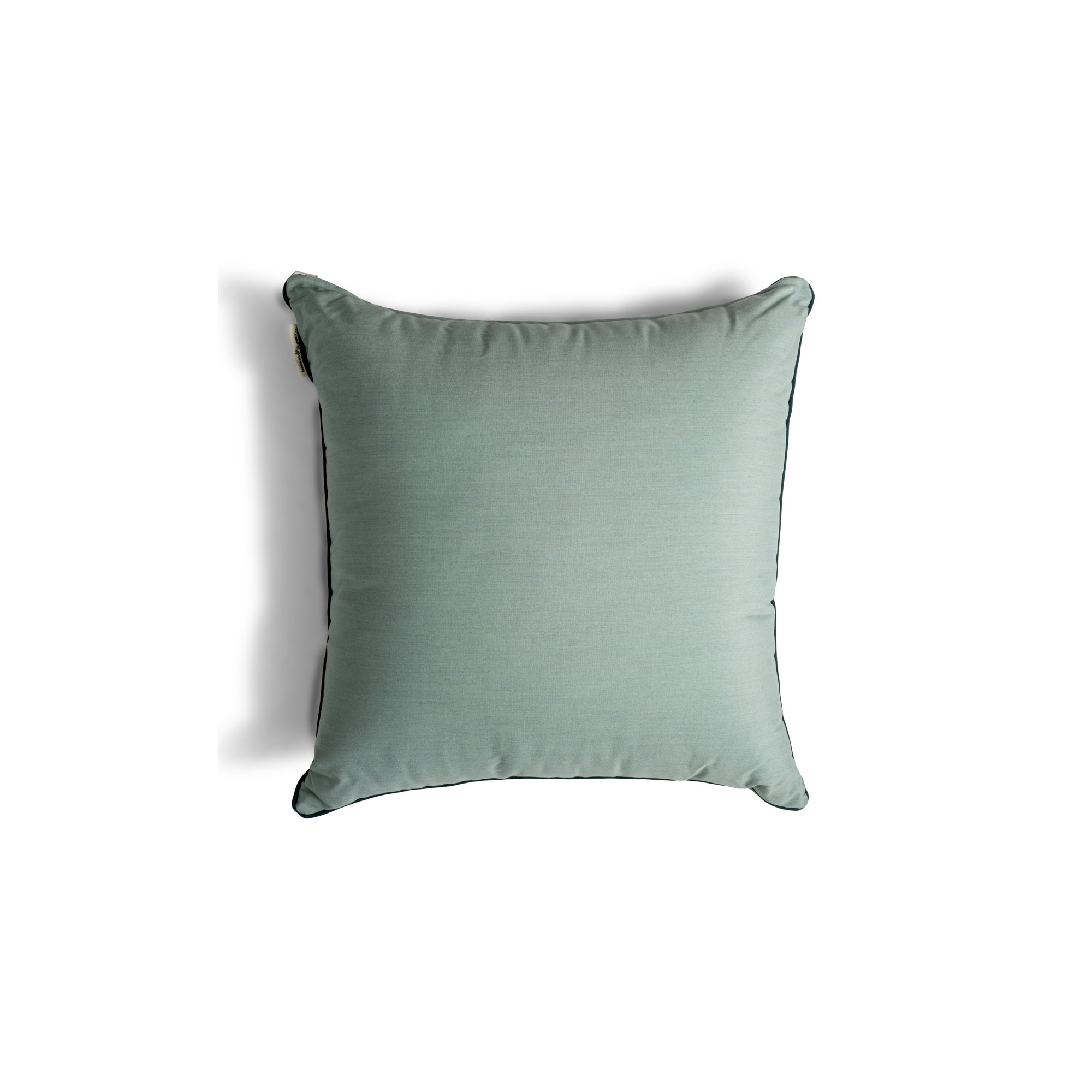 Rivie Pleasuretex™ Indoor/Outdoor Throw Pillow, Green, 26"H x 26"W