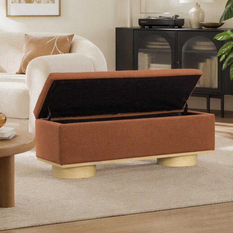 Banc de rangement rembourré moderne avec couvercle relevable pour le salon et l'organisation du salon