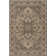 Donivin Performance Oriental Indoor/Outdoor Area Rug