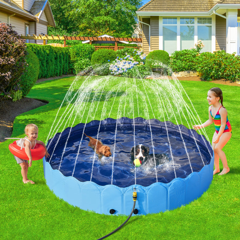 Grande piscine pliable pour chien avec arroseur, L 71 po x H 13 po