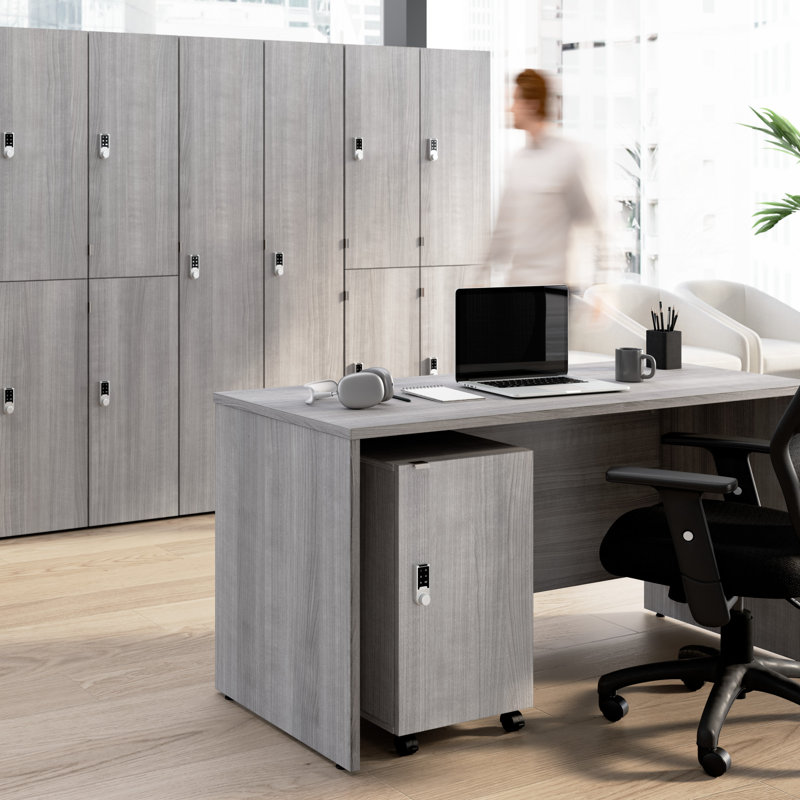 Classeur mobile avec tiroir, porte et serrure à clavier Bush Business Furniture Assure, Gris platine