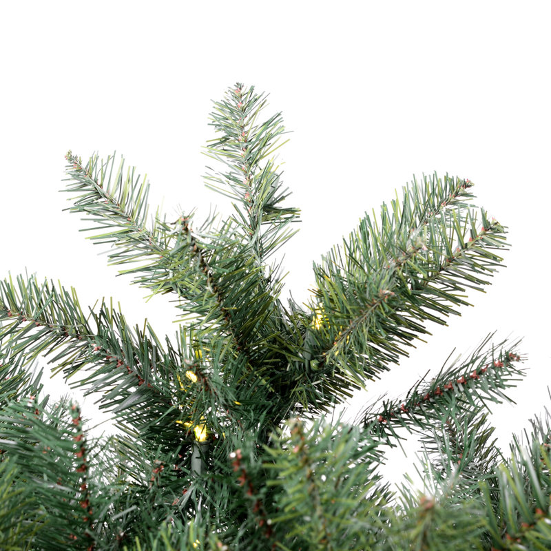 Salem Pencil 5.5' Green Pine Artificial Christmas Tree with 150 LED White Lights with Stand, 5.5' H
