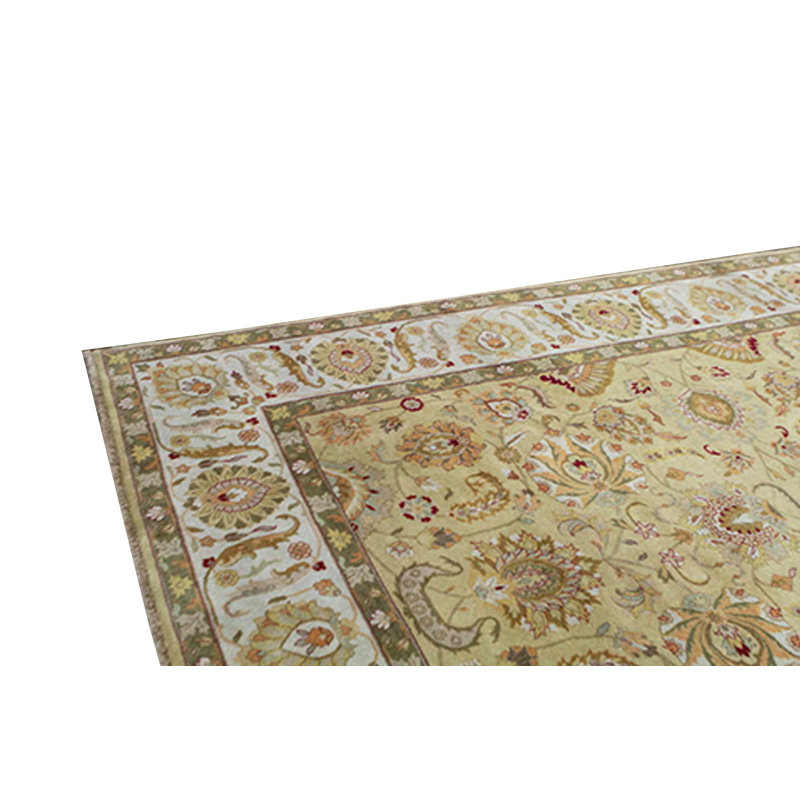 Wool Oriental Area Rug in Gold