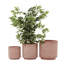 Ensemble de 3 pots à fleurs modernes en oxyde de magnésium-1523244778
