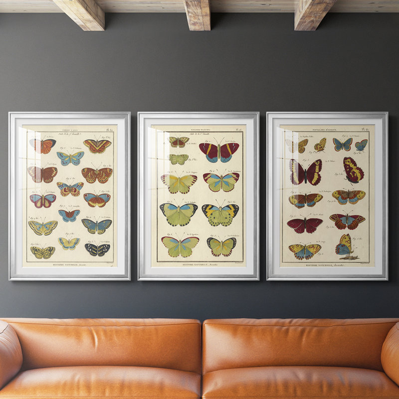 Histoire Naturelle Butterflies I - Impression personnalisée de qualité supérieure avec passe-partout - 3 pièces