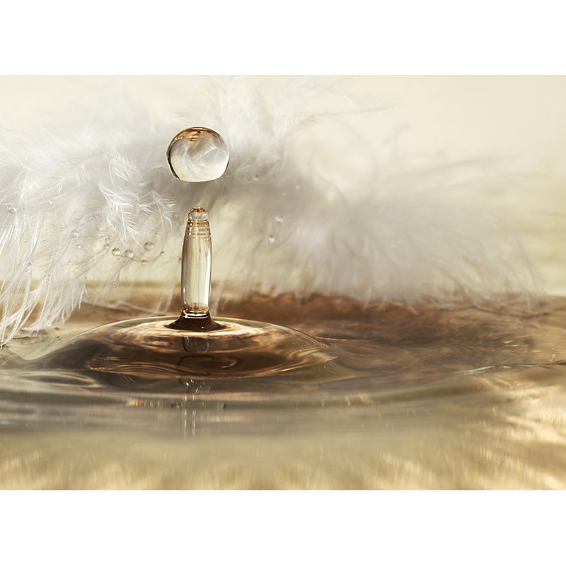 Wrapped Canvas Print, 50.8 cm H x 76.2 cm W