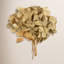 Centre de table d'hortensia Vickerman-849141782