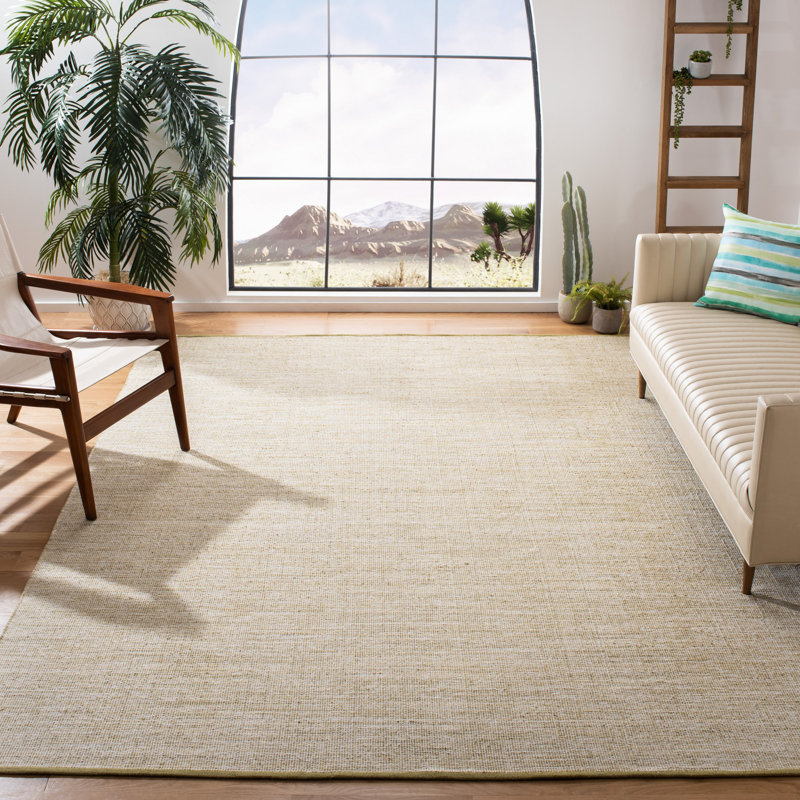 Damian Flat Weave Cotton Solid Color Rug, Rectangle 9' x 12'
