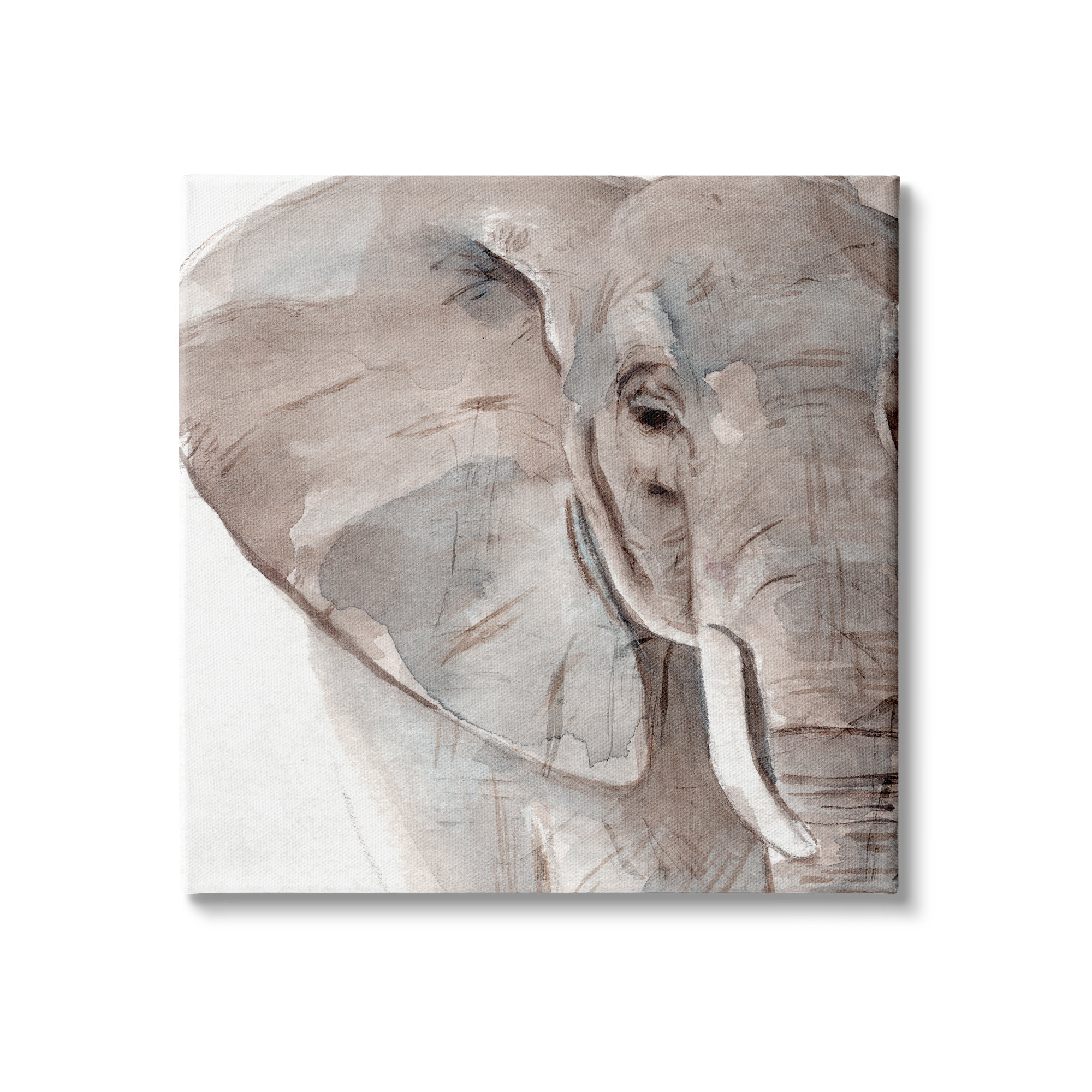 Stupell Industries 10 Elephant Ear Animal Portrait Small Husks Grey ...