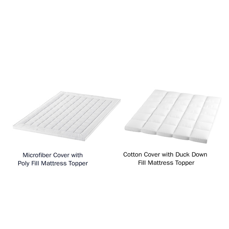 PLYH Pillow Top 4 Plush Feather Mattress Topper & Reviews