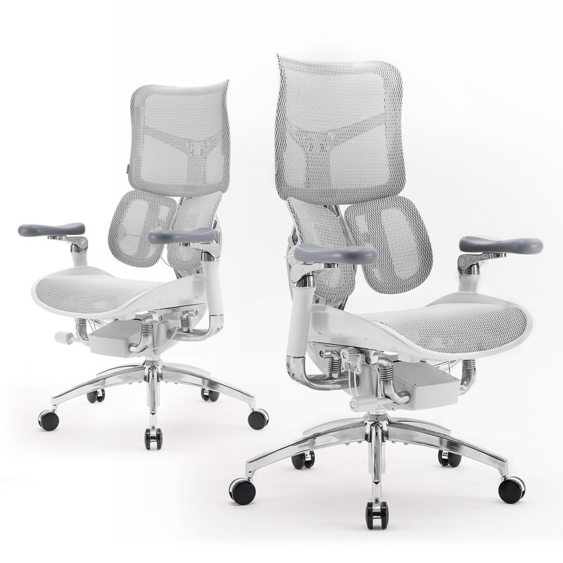 Ergonomic Office Chair, with Dual Dynamic Lumbar Support, 6D Coordinated Armrest, Grey, Light Grey/Silver