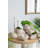Conch Shell Shape Planter