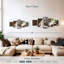 Tigre blanc au repos-2136288056