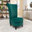 Fulviah Velvet Slipper Chair-230050305