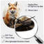 Horloge murale Fadim Fox Wilderness Observer-1056037359