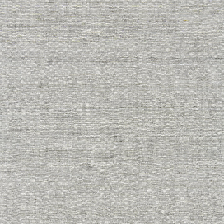 Tissu de luxe moderne Tussah, Brouillard