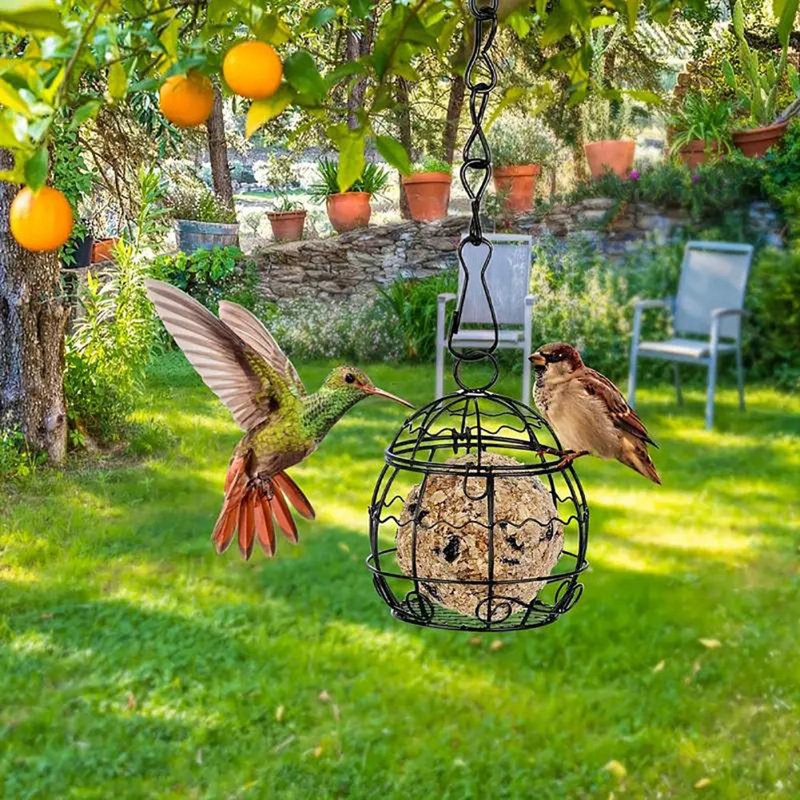 6 mangeoires d'oiseaux sauvages suspendues