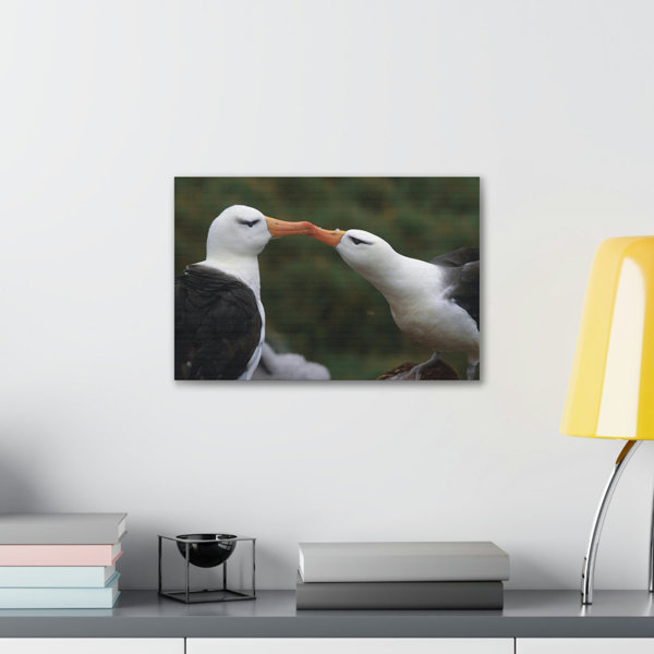 Latitude Run® Funny Albatross Couple Kissing Outside Wall Art | Wayfair