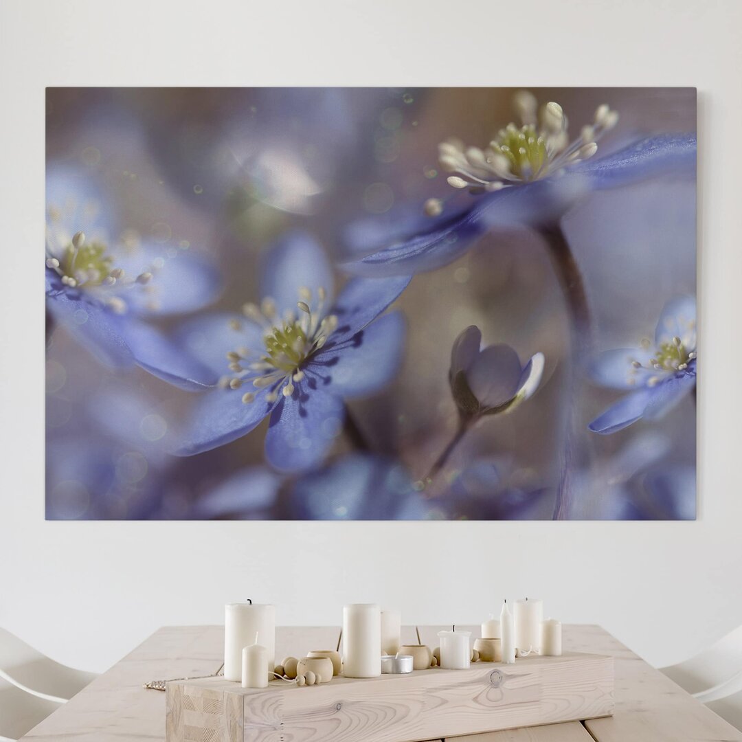 Leinwandbild Anemonen In Blau