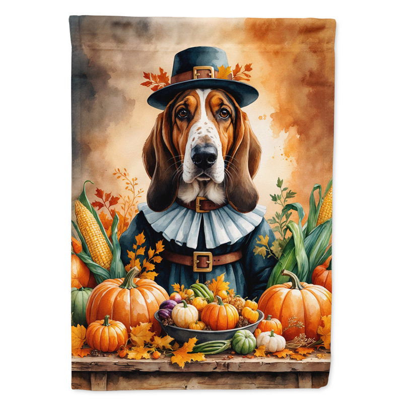 Drapeau de l'Action de grâce, Basset hound