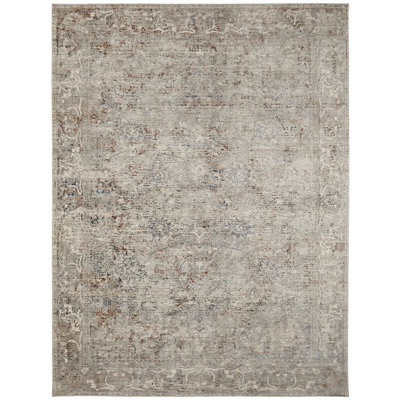 Area Rug in Gray