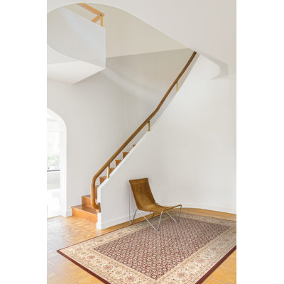 Pawling Area Rug