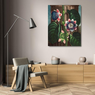 Thornton, Robert John, reproduction d'art sur toile: La fleur de la passion quadrangulaire du temple de Flora