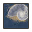 «Calm Seas IX» par Janelle Penner - impression d'art graphique-20825938-72791138-72791140