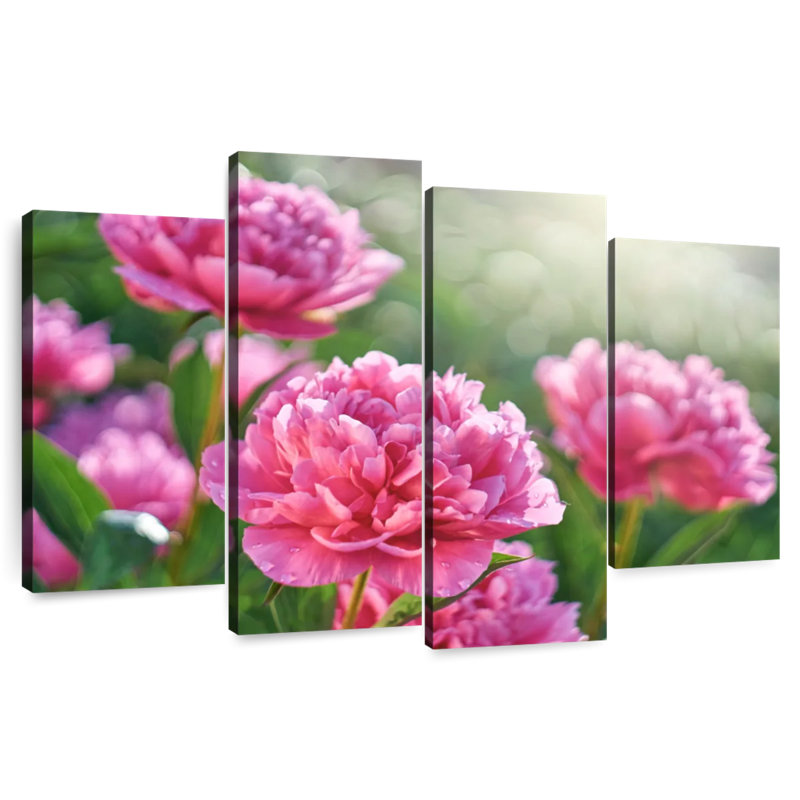 Harnek pivoines roses ensoleillées, H 48 po x l 75 po