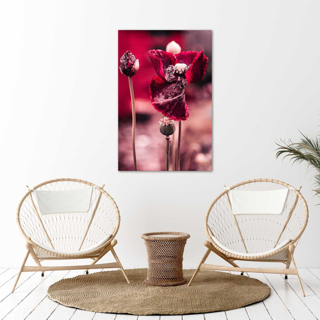 Fotodruck Intense Poppies