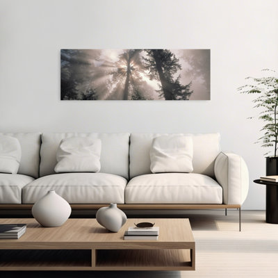 Trees Redwood National Park, California, Usa Mystical Abstract Contemporary Redwood Forest Landscape Wall Art
