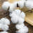 Cotton Arrangement