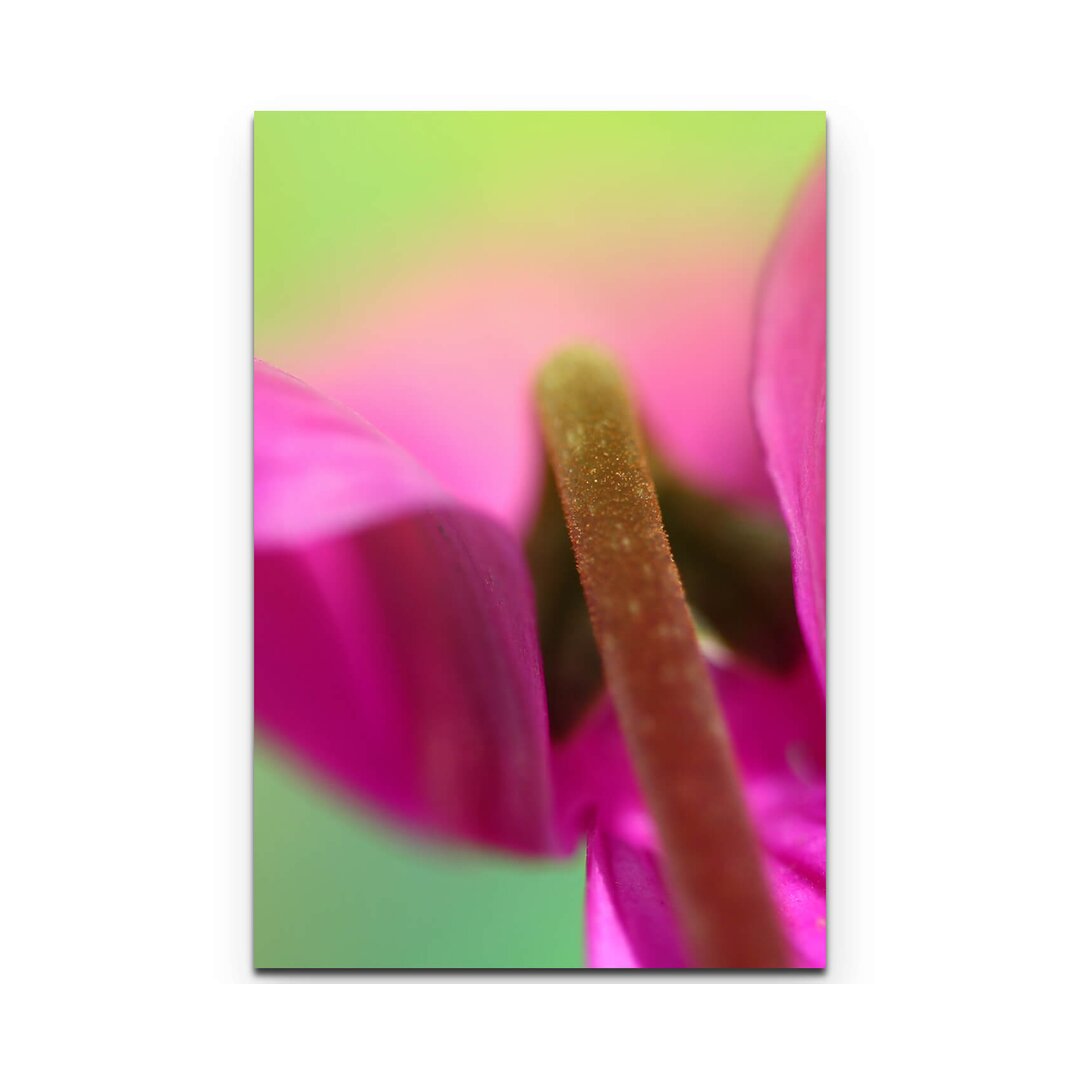 Leinwandbild - "Makrofotografie - Blumen" - Kunstdruck