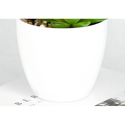 Herbes 5,51 po