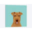 Airedale Terrier, impression sur toile tendue-19741520-74748097-74748098