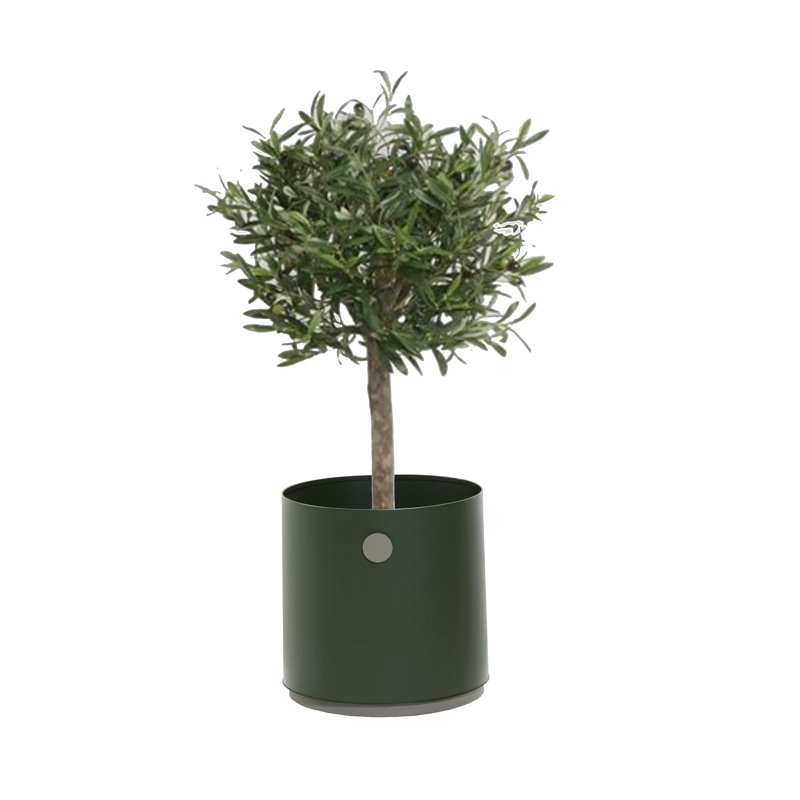 Grow Metal Planter, Dark Green/Taupe, 24.1" H x 21.3" W x 21.3" D