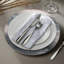 Plat de service 13 po-1828188457