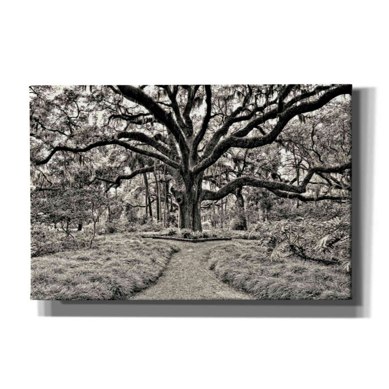 «Florida Tree» par PH Burchett, art mural sur toile, H 12 po x l 18 po x P 0,75 po