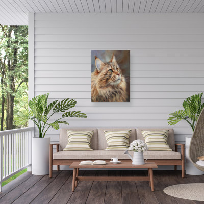 Toile d'extérieur David Stribble Maincoon Cat